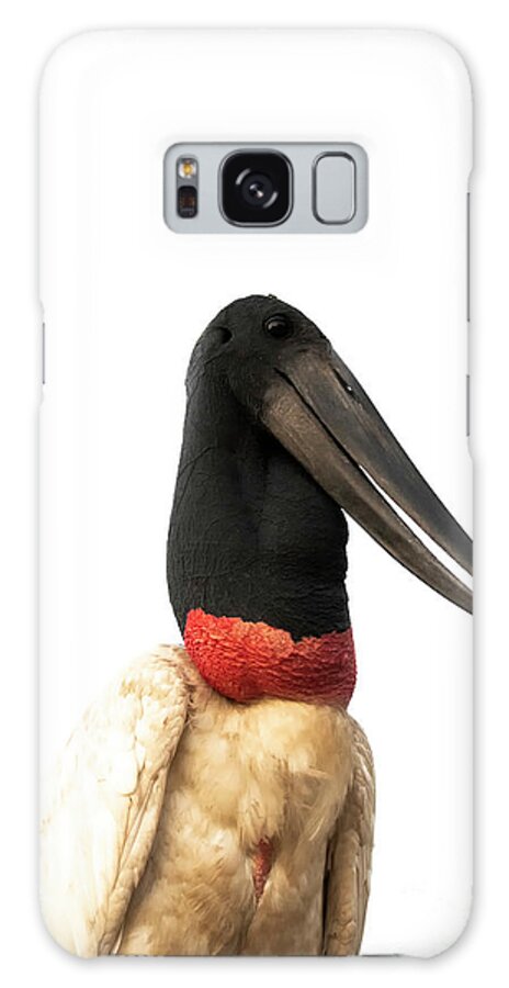 Jabiru Galaxy Case featuring the photograph Jabiru Stork by Patrick Nowotny