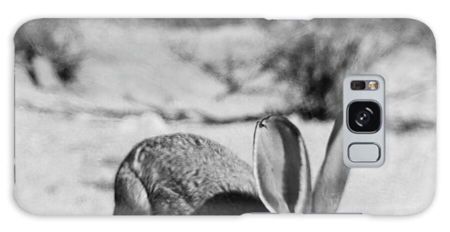 Jack Rabbit Galaxy Case featuring the photograph Jack Rabbit by Perry Hoffman