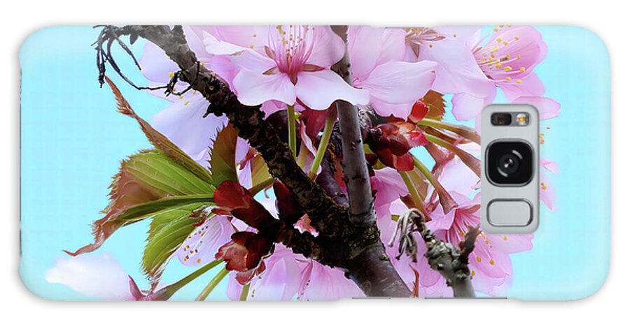 Japanese Cherry Blossom Galaxy Case featuring the photograph Japanese Cherry Blossoms Nbr.3 by Scott Cameron