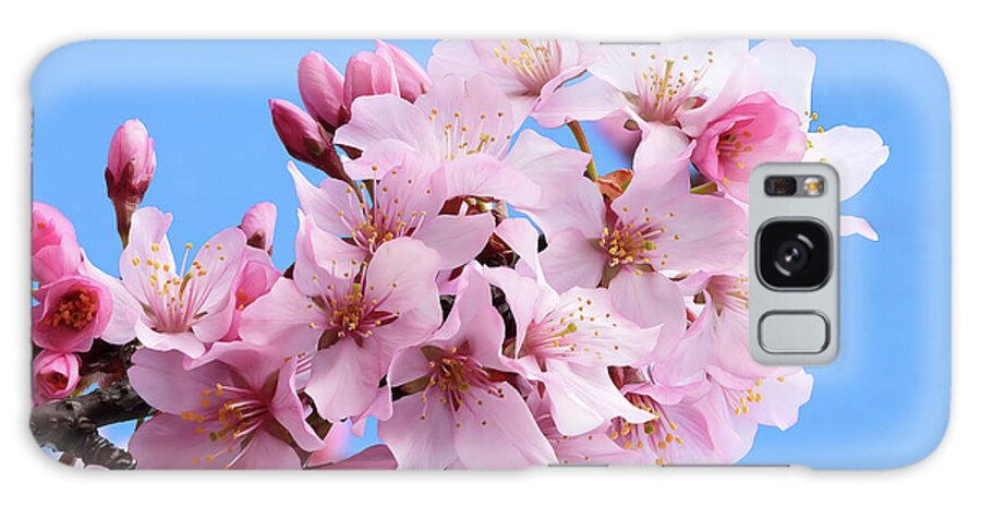 Japanese Cherry Blossom Galaxy Case featuring the photograph Japanese Cherry Blossoms by Scott Cameron