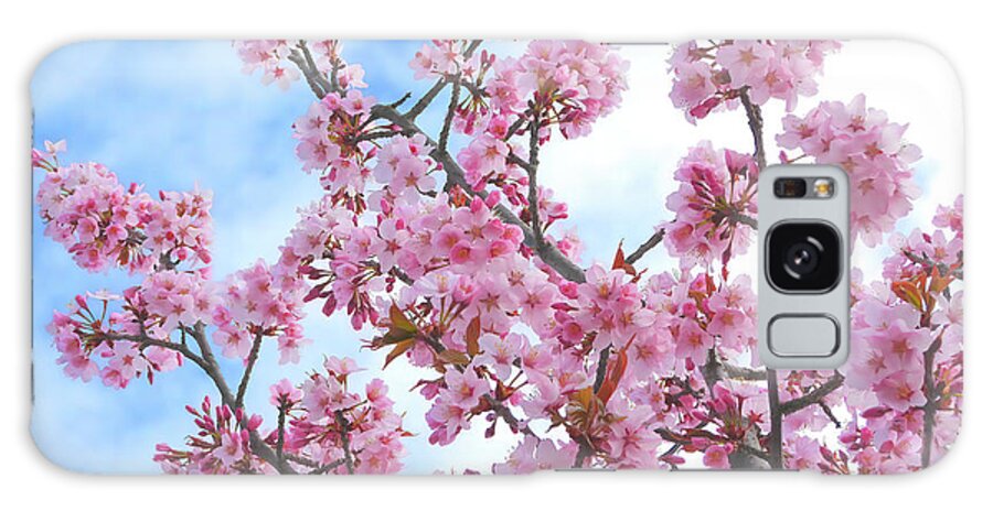 Japanese Cherry Blossom Galaxy Case featuring the photograph Japanese Cherry Tree Blossoms Nbr.4 by Scott Cameron
