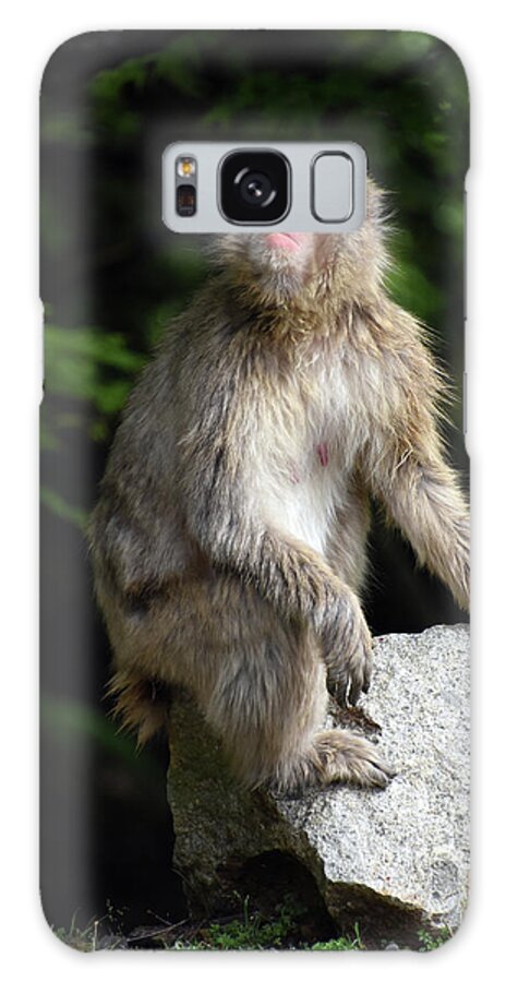Macaque Galaxy Case featuring the photograph Japanese Macaque at Arashiyama in Kyoto Japan by Loren Dowding
