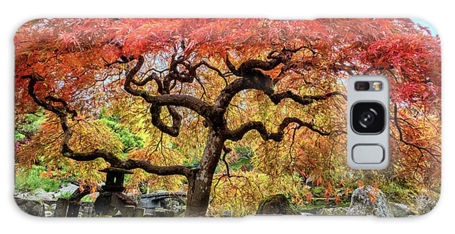 Highline Botanical Garden Galaxy Case featuring the photograph Japanese Maple by Larey McDaniel