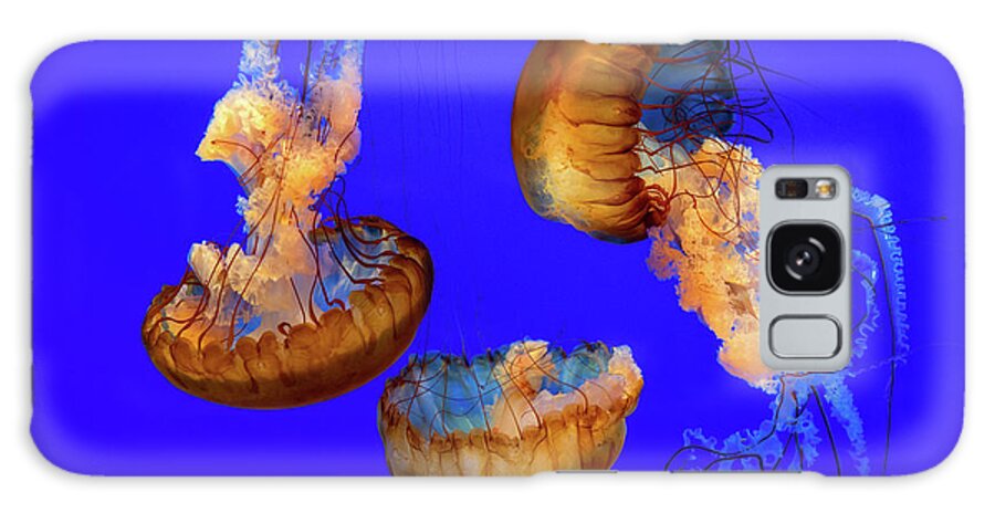 Jellyfish Galaxy Case featuring the photograph Jellyfish Sea Nettle Marine Life - Ripleys Aquarium Gatlinburg TN by Dave Allen