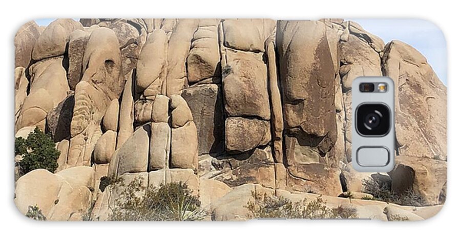 Joshua Tree Galaxy Case featuring the photograph Joshua Tree Faces by Chris Tarpening