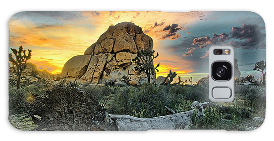 California Galaxy Case featuring the photograph Joshua Tree National Park 4 by Donald Pash