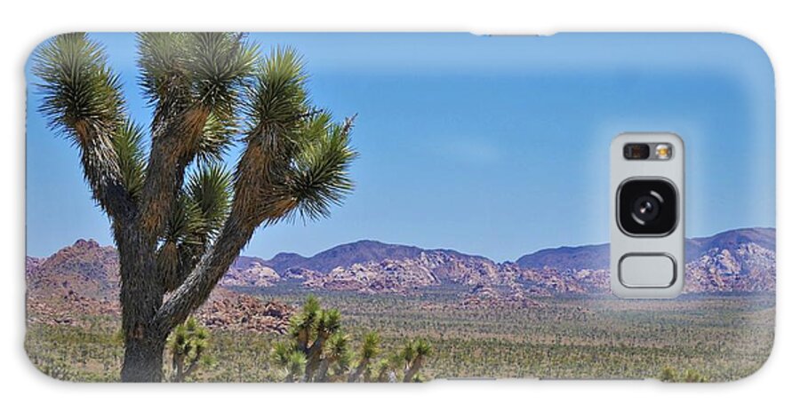 Joshua Tree Galaxy Case featuring the photograph Joshua Tree - Panorama Trail 2020 4 by Lee Antle