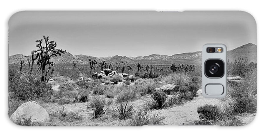 Joshua Tree Galaxy Case featuring the photograph Joshua Tree - Panorama Trail 2020 5 by Lee Antle