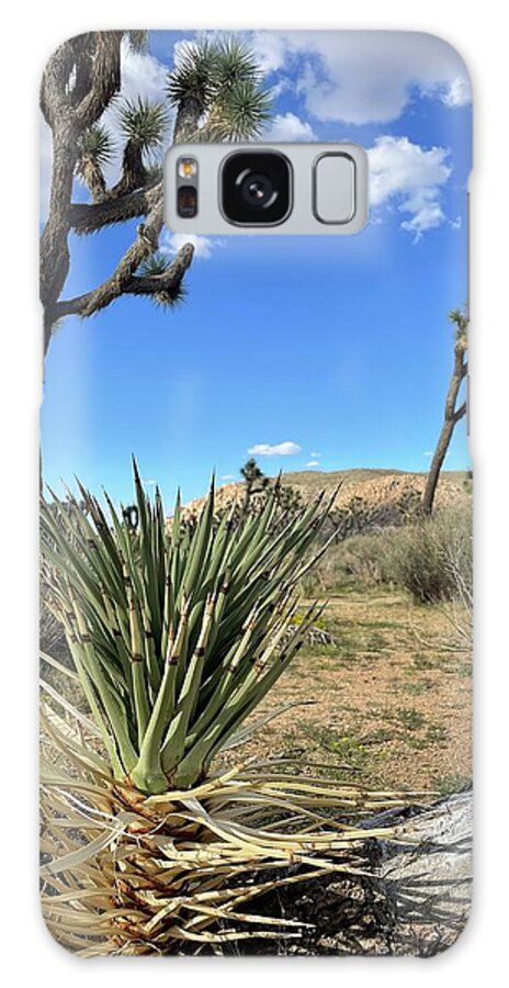 Joshua Tree Galaxy Case featuring the photograph Joshua Trees in Joshua Tree National Park California by Kelly Hazel