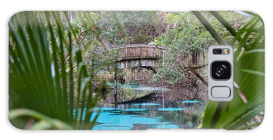 Palm Tree Galaxy Case featuring the photograph Juniper Springs, Ocala National Forest, Florida by Kerri Batrowny