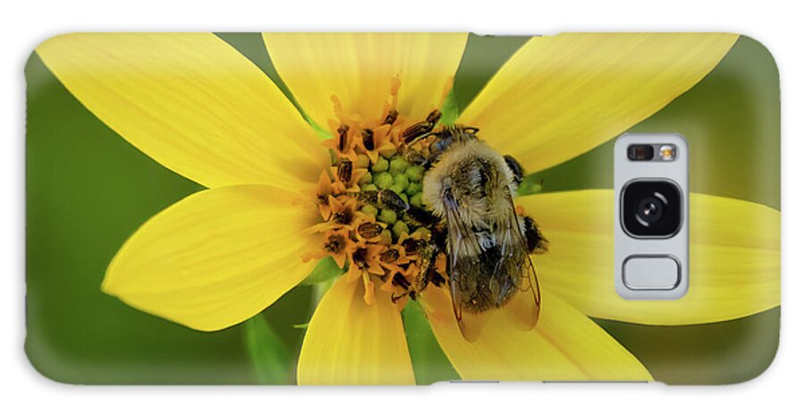 Bee Galaxy Case featuring the photograph Just Doing My Job by John Kirkland