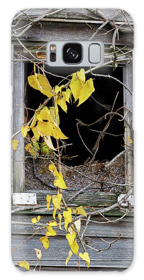 Old House Galaxy Case featuring the photograph Just Hangin' by Steve Templeton
