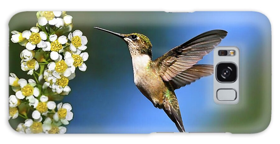 Hummingbird Galaxy Case featuring the photograph Just Looking by Christina Rollo