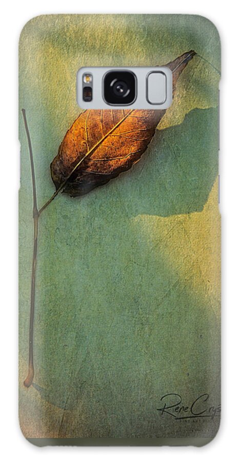 Leaves Galaxy Case featuring the photograph Just Me And My Shadow by Rene Crystal