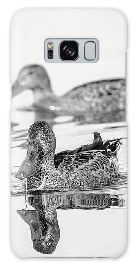 Animal Galaxy Case featuring the photograph Juvenile Nortern Shoveler duck by Mike Fusaro