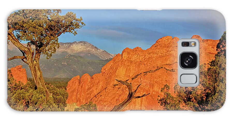 Kissing Camels Galaxy Case featuring the photograph Kissing Camels by Bob Falcone