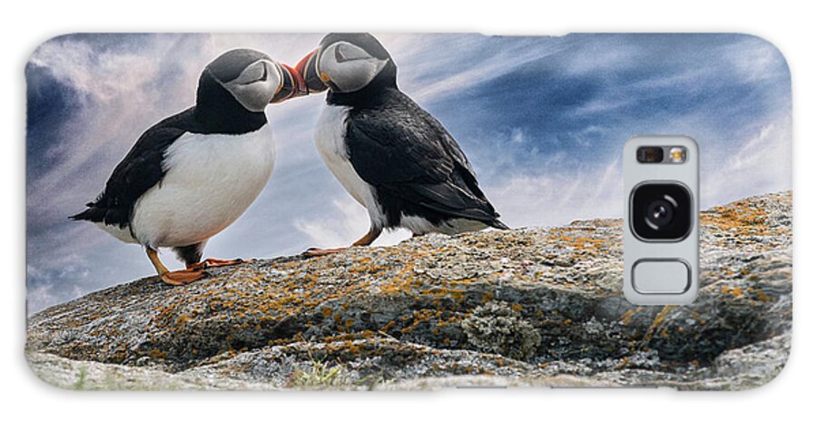 Puffins Galaxy Case featuring the digital art Kissing Puffins by Jim Hatch