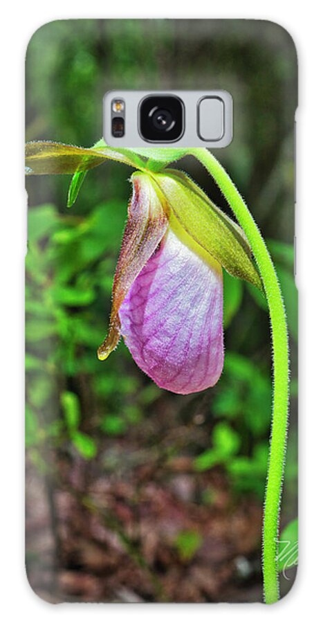 Lady Slipper Orchid Galaxy Case featuring the photograph Lady Slipper Vertical by Meta Gatschenberger