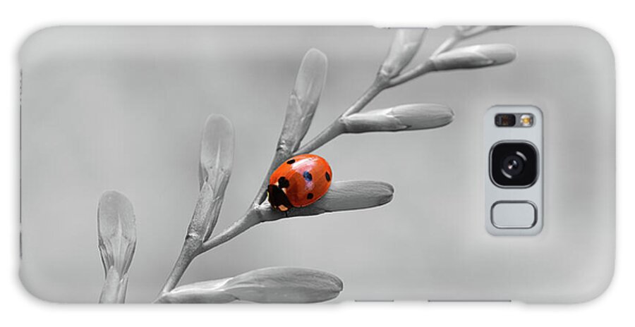 Ladybird Galaxy Case featuring the photograph Ladybird on Crocosmia - Selective Colour by Yvonne Johnstone