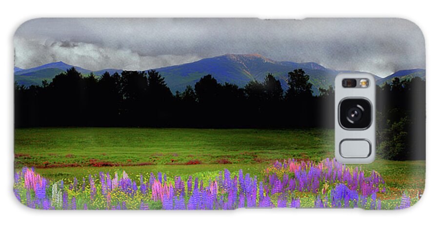 Lupine Galaxy Case featuring the photograph Lafayette Lupine Mindscape by Wayne King