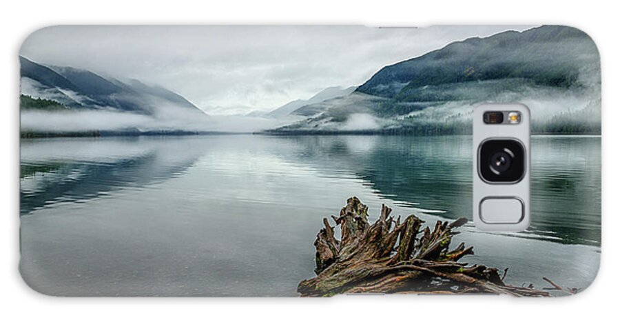 Lake Crescent Galaxy Case featuring the photograph Lake Crescent Relic by Dan Mihai