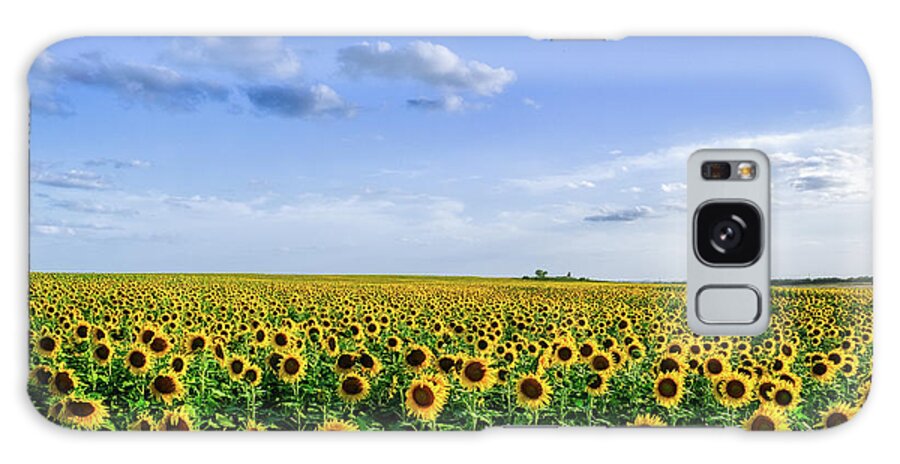 Sunflowers Galaxy Case featuring the photograph Large Sunflower Field by Robert Bellomy