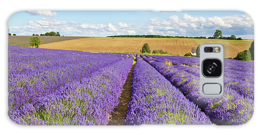 Lavender Fields Galaxy Case featuring the photograph Lavender rows at Snowshill Farm, The Cotswolds, England by Neale And Judith Clark