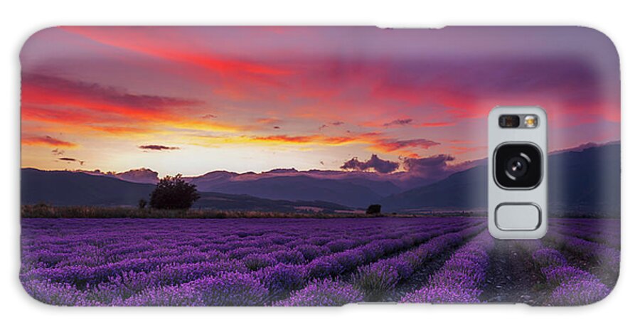 Dusk Galaxy Case featuring the photograph Lavender Season by Evgeni Dinev