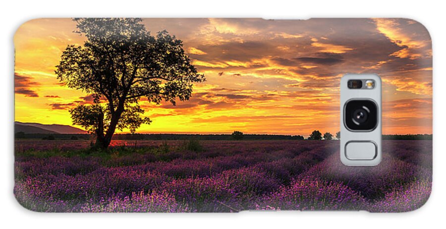 Bulgaria Galaxy Case featuring the photograph Lavender Sunrise by Evgeni Dinev