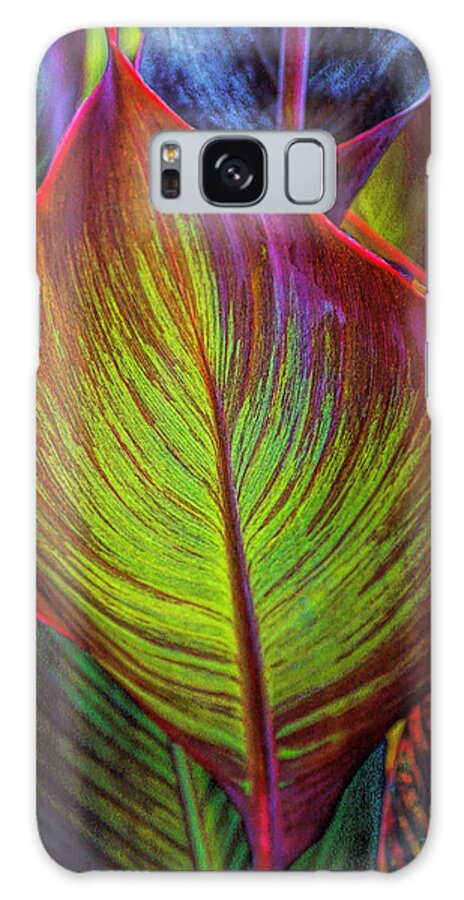 Colorful Galaxy Case featuring the photograph Leaf Glow by Rochelle Berman
