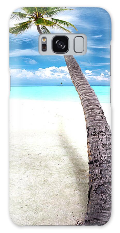 Calm Galaxy Case featuring the photograph Leaning Palm by Sean Davey