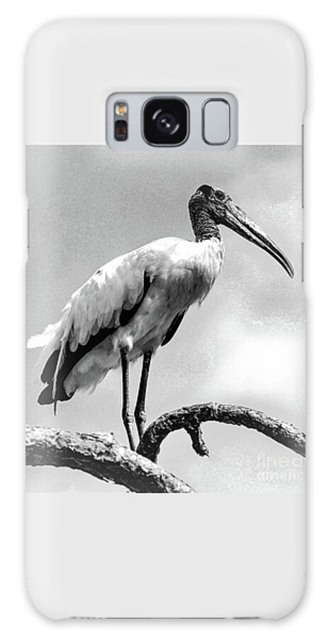 Wood Stork Galaxy Case featuring the photograph Let the Light Shine by Joanne Carey