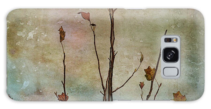 Autumn Galaxy Case featuring the photograph Letting Go of Autumn by Elaine Teague
