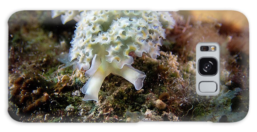 Lettuce Galaxy Case featuring the photograph Lettuce leaf sea slug by Brian Weber