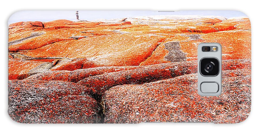 Tantalising Galaxy Case featuring the photograph Lichen on rocks Bay of Fires by Lexa Harpell