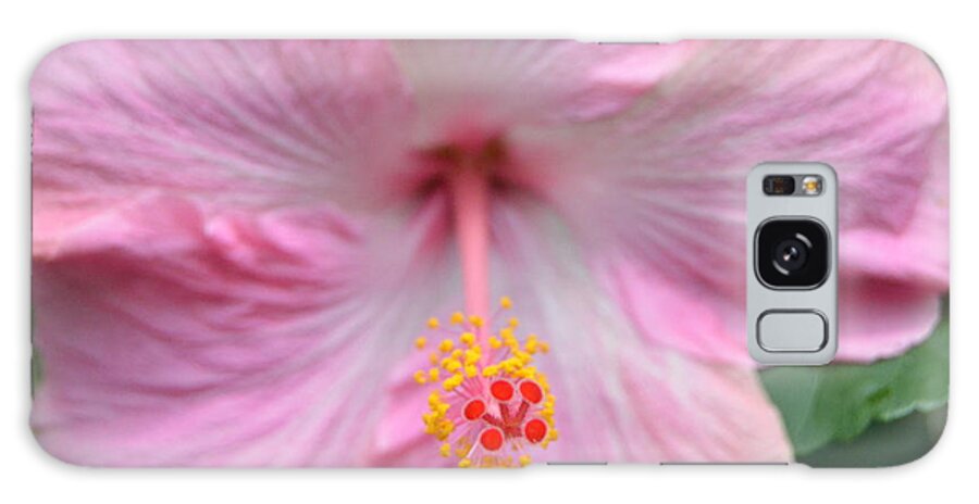 Flower Galaxy Case featuring the photograph Light Pink Hibiscus 3 by Amy Fose