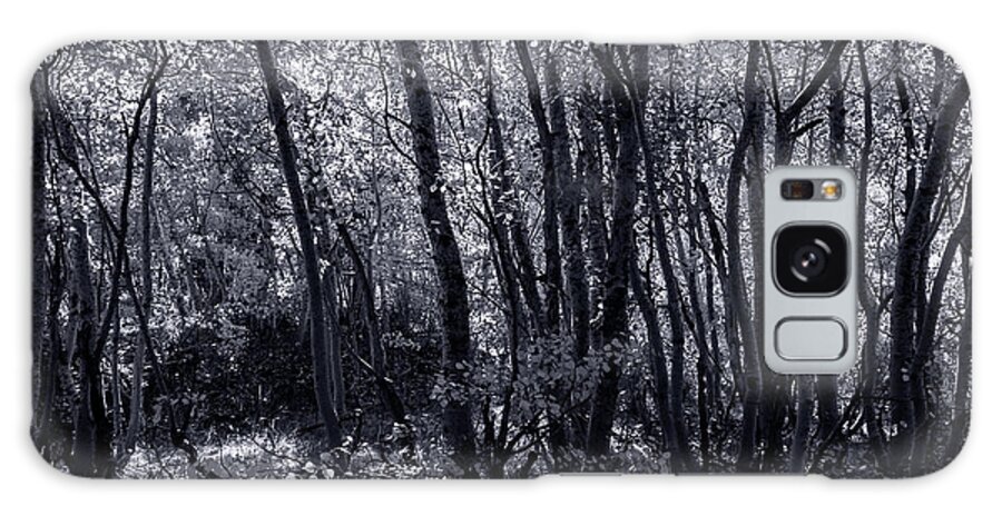 Black And White Galaxy Case featuring the photograph Light Through the Leaves by Ryan Huebel