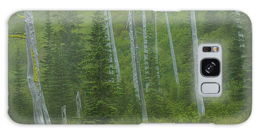 Mount Rainier National Park Galaxy Case featuring the photograph Lightning Strikes from the Past by Doug Scrima