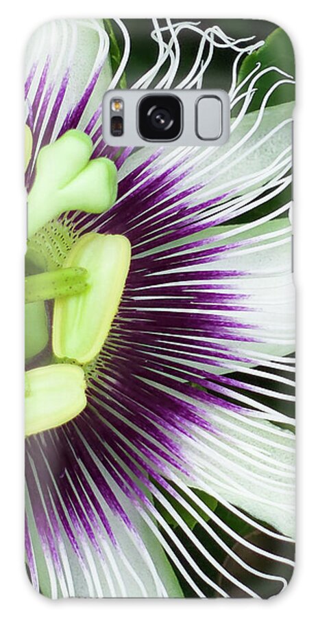 Passion Flowers Galaxy Case featuring the photograph Liliquoi Flower Macro-Vert by Denise Bird