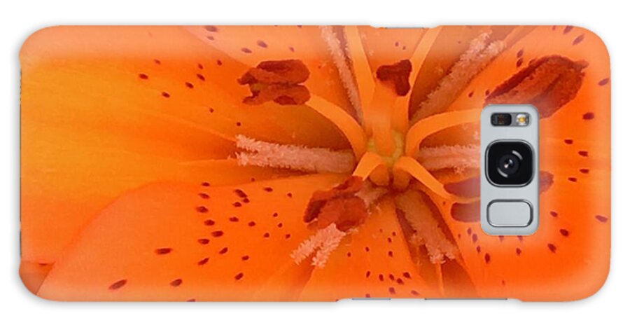 Lily Flower Galaxy Case featuring the photograph Lily Closeup by Carmen Lam