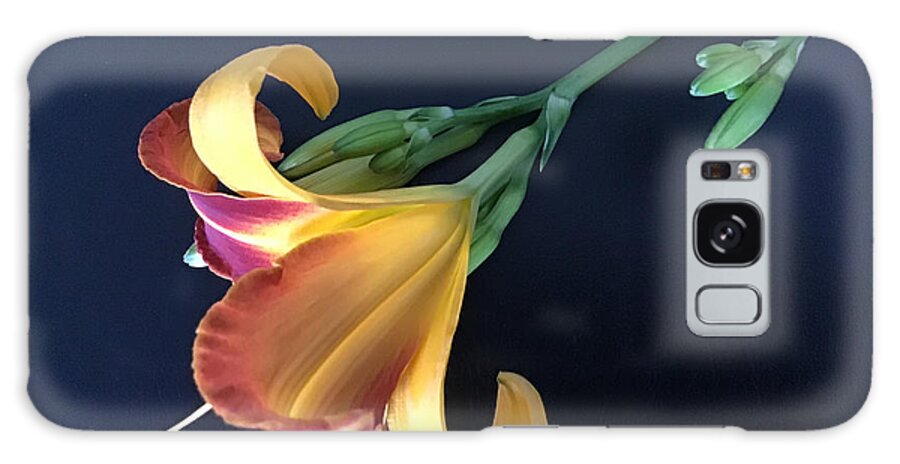 African Lily Galaxy Case featuring the photograph Lily Glow by Catherine Wilson