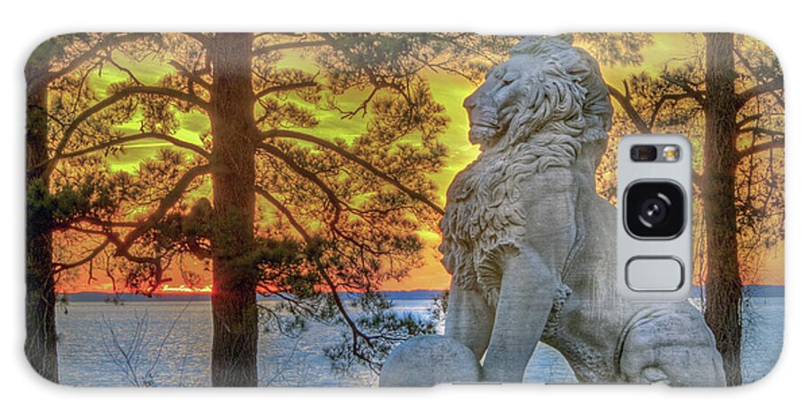 Lions Bridge Galaxy Case featuring the photograph Lion at Sunset by Jerry Gammon