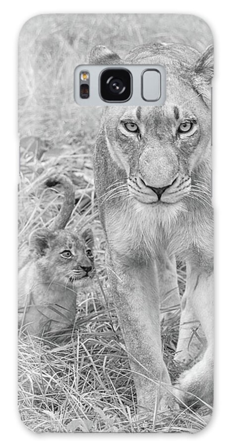 Lioness Galaxy Case featuring the photograph Lioness and Cub Walking by Rebecca Herranen