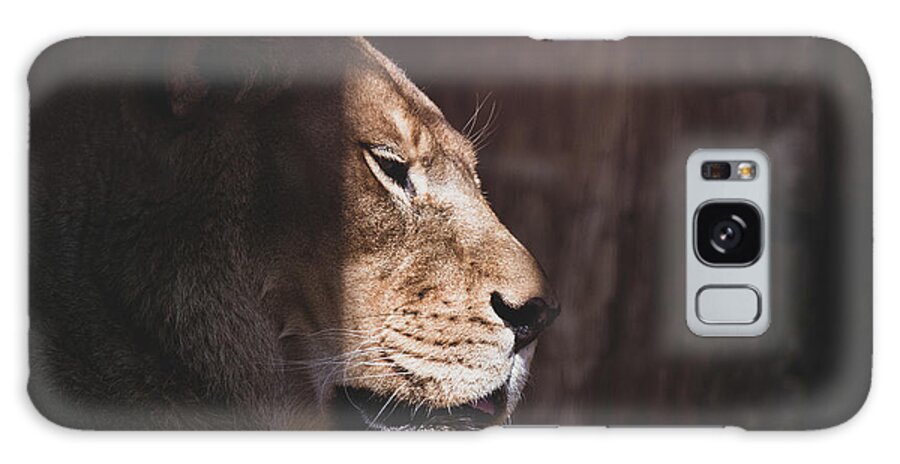 Lioness Galaxy Case featuring the photograph Warming Thoughts by Rose Guinther