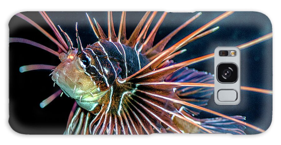 Lionfish Galaxy Case featuring the photograph Clearfin Lionfish by WAZgriffin Digital
