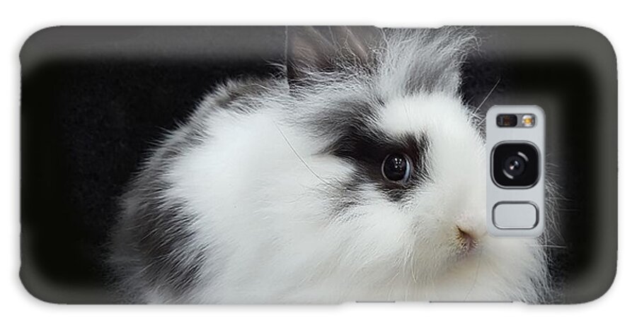 Rabbit Galaxy Case featuring the photograph Lionhead Baby by Les Classics
