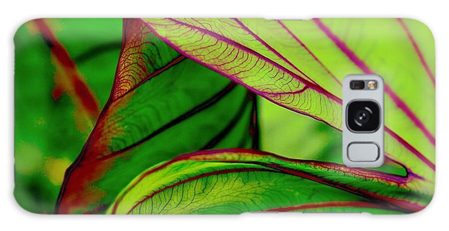 Nature Galaxy Case featuring the photograph Listening Leaves by Alida M Haslett