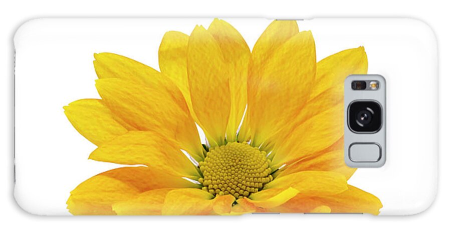 Flower Galaxy Case featuring the photograph Little Yellow Daisy by Sandi Kroll