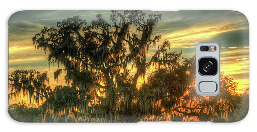 Oak Galaxy Case featuring the photograph Live Oak Sunset by Doug McPherson
