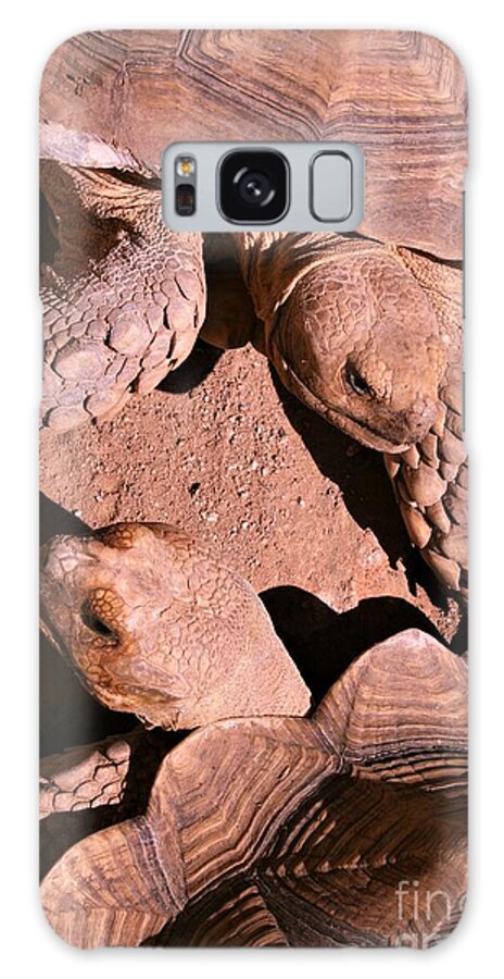 Reptiles Galaxy Case featuring the photograph Living Pods by Mary Mikawoz